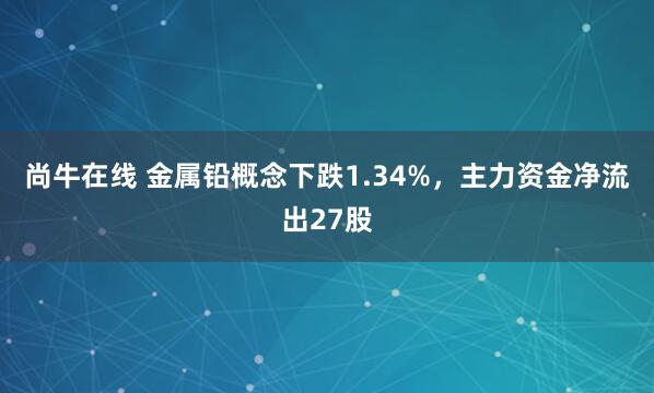尚牛在线 金属铅概念下跌1.34%，主力资金净流出27股