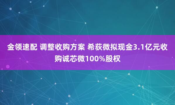 金领速配 调整收购方案 希荻微拟现金3.1亿元收购诚芯微100%股权