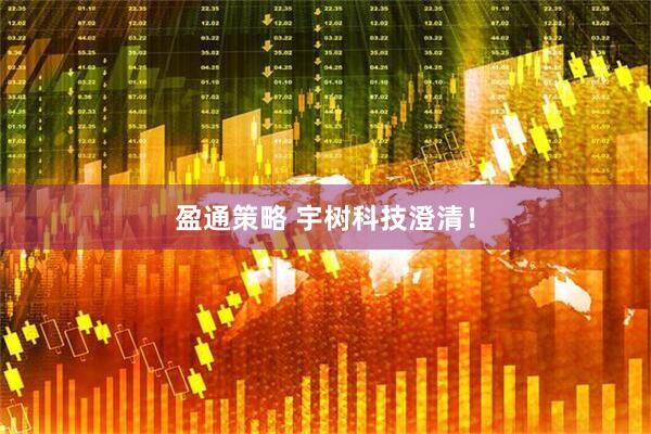 盈通策略 宇树科技澄清！