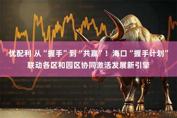 优配利 从“握手”到“共赢”！海口“握手计划”联动各区和园区协同激活发展新引擎