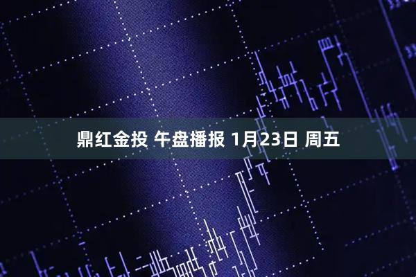 鼎红金投 午盘播报 1月23日 周五